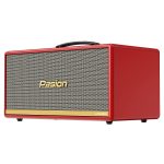 Loa Paramax Pasion 2C - Ảnh 3