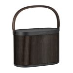 Loa B&O Beosound A5 - Ảnh 2