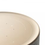 Loa B&O Beosound Balance - Ảnh 3