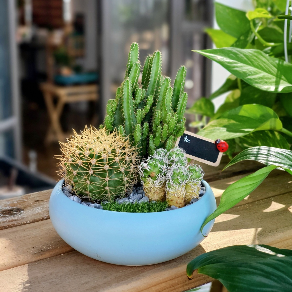 top-10-mon-do-trang-tri-ban-hoc-sinh-dong-2