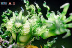 [Pre-order] Mô hình One Piece Brook 1/6 Jimei Palace - Ảnh 6