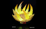 [Pre-order] Mô hình Dragon Ball Ultra ego Vegeta & Majin Vegeta 1/6 PowerClub Studios - Ảnh 6