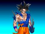[Pre-order] Mô hình Dragon Ball Ultra Instinct Goku WDF Studio - Ảnh 3